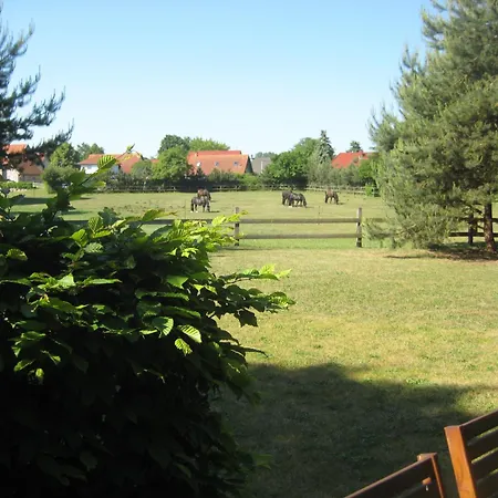 Finnhuette Moewe - Wittenbecker Tannen Holiday home *