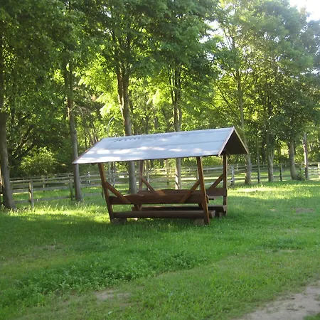 Finnhuette Moewe - Wittenbecker Tannen Hébergement de vacances